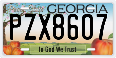 GA license plate PZX8607