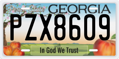 GA license plate PZX8609