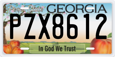 GA license plate PZX8612