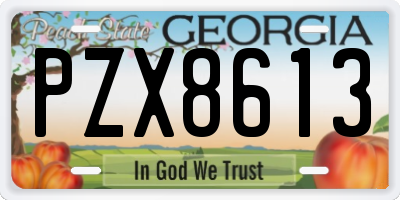 GA license plate PZX8613