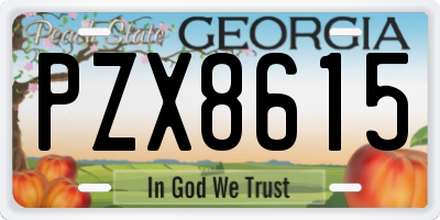 GA license plate PZX8615