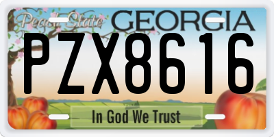 GA license plate PZX8616