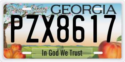 GA license plate PZX8617