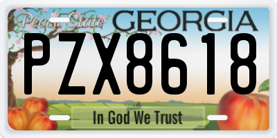 GA license plate PZX8618