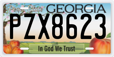GA license plate PZX8623