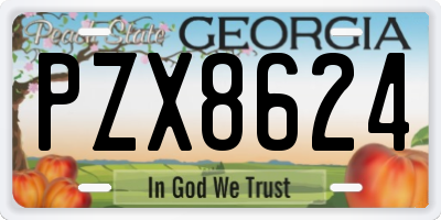 GA license plate PZX8624