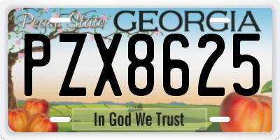 GA license plate PZX8625