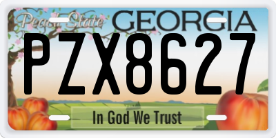 GA license plate PZX8627