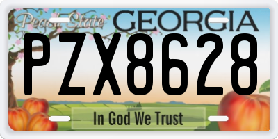 GA license plate PZX8628