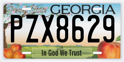 GA license plate PZX8629