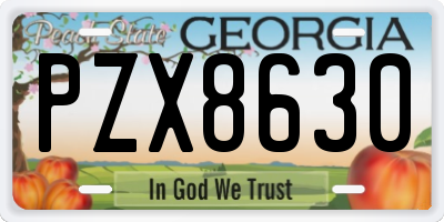 GA license plate PZX8630