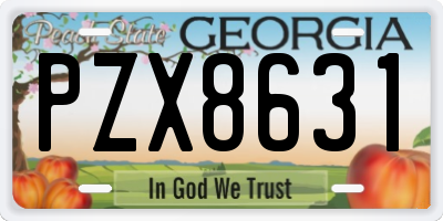 GA license plate PZX8631