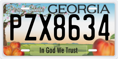 GA license plate PZX8634
