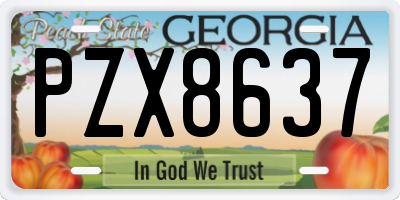 GA license plate PZX8637