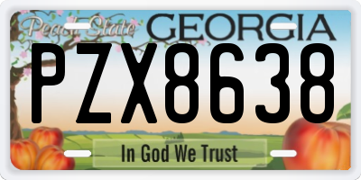 GA license plate PZX8638