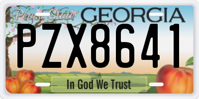 GA license plate PZX8641