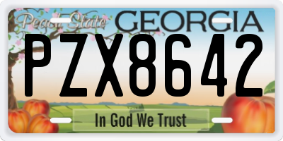 GA license plate PZX8642
