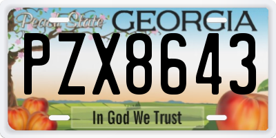 GA license plate PZX8643