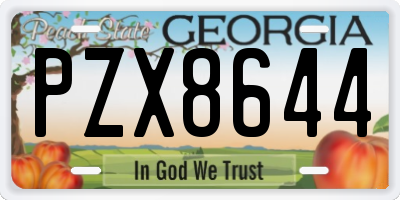 GA license plate PZX8644