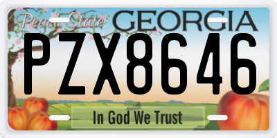 GA license plate PZX8646