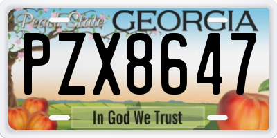 GA license plate PZX8647