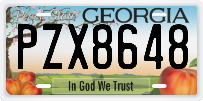 GA license plate PZX8648