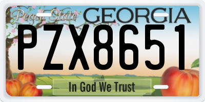 GA license plate PZX8651
