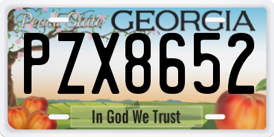 GA license plate PZX8652
