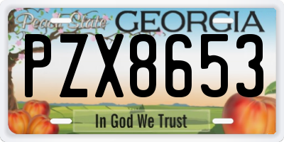 GA license plate PZX8653