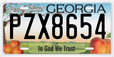 GA license plate PZX8654