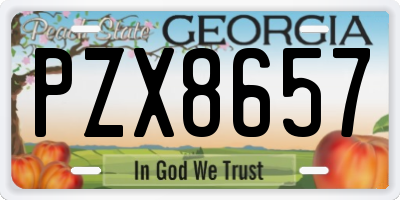 GA license plate PZX8657