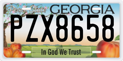 GA license plate PZX8658
