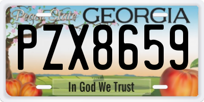 GA license plate PZX8659