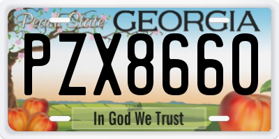 GA license plate PZX8660