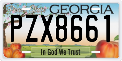 GA license plate PZX8661