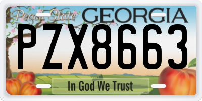 GA license plate PZX8663