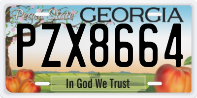 GA license plate PZX8664