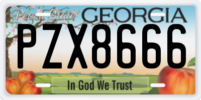 GA license plate PZX8666