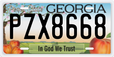 GA license plate PZX8668