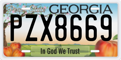GA license plate PZX8669