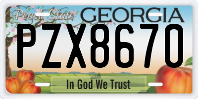 GA license plate PZX8670
