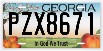 GA license plate PZX8671