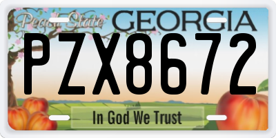 GA license plate PZX8672