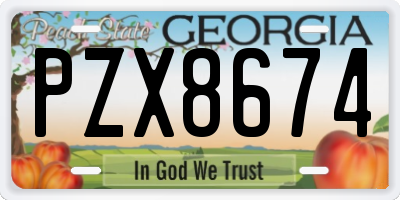 GA license plate PZX8674