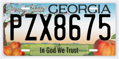 GA license plate PZX8675