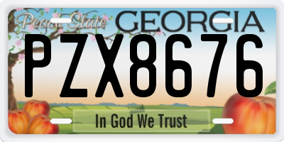 GA license plate PZX8676