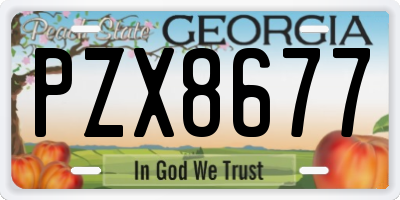 GA license plate PZX8677