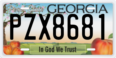 GA license plate PZX8681