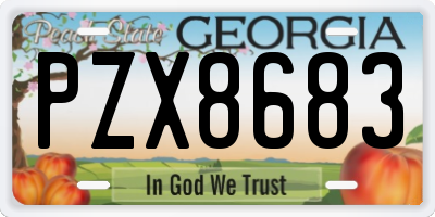 GA license plate PZX8683