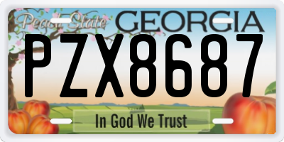GA license plate PZX8687